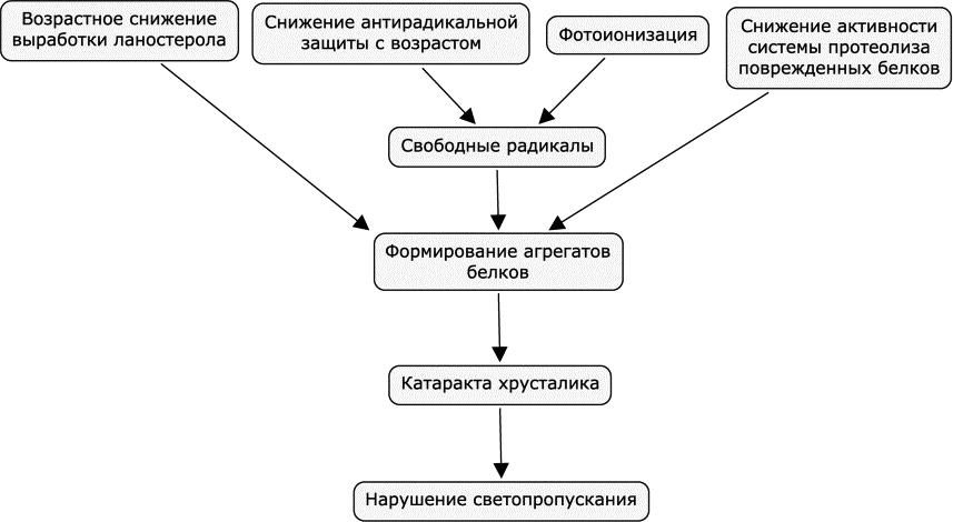 Возраст защиты