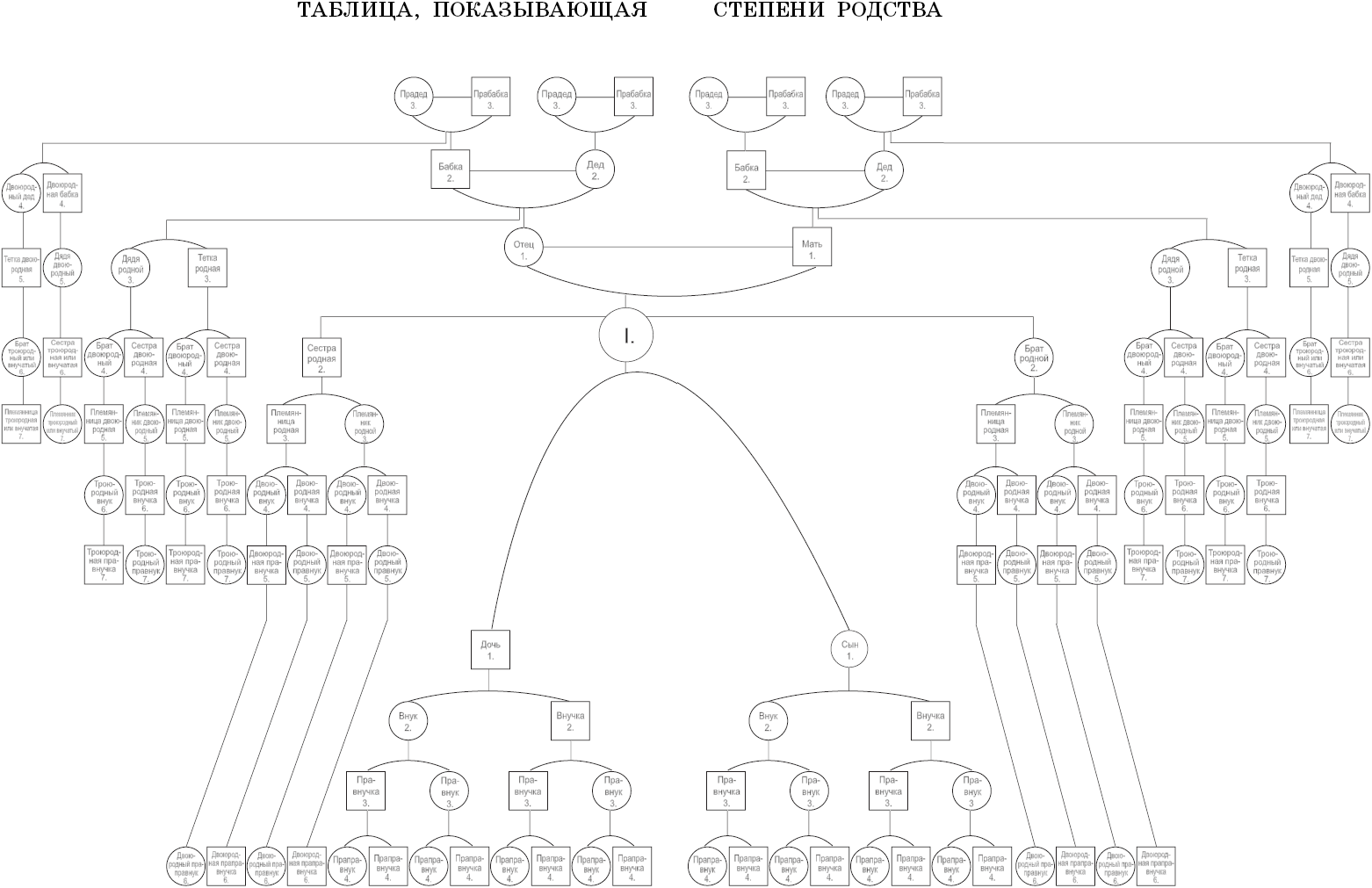 Родственные связи схема