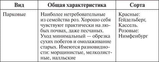 Украшаем сад своими руками. Практичные советы для бережливых садоводов - S.P. Kashin - Google Books