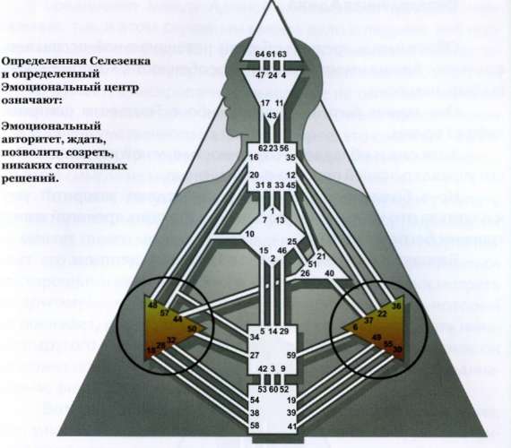 Селезеночный проектор дизайн