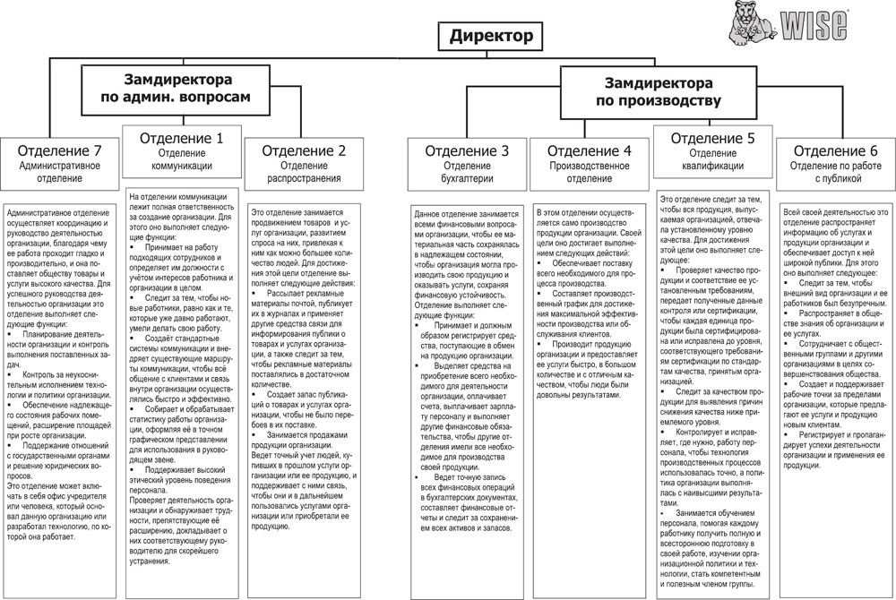 Организующая схема компании высоцкий