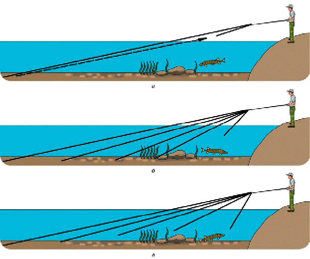 Рыболовы тактики. Траектория движения рыб в воде.