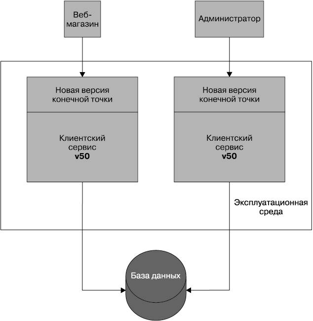 Несколько версий. Построение инфраструктуры микросервисов. Схемы построения микросервисов. Интеграция микросервисов. Создание микросервисов.