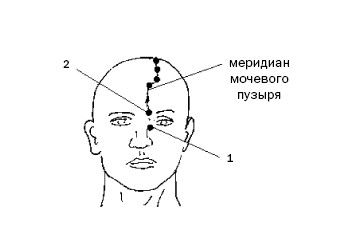 Меридиан мочевого пузыря точки расположения картинки