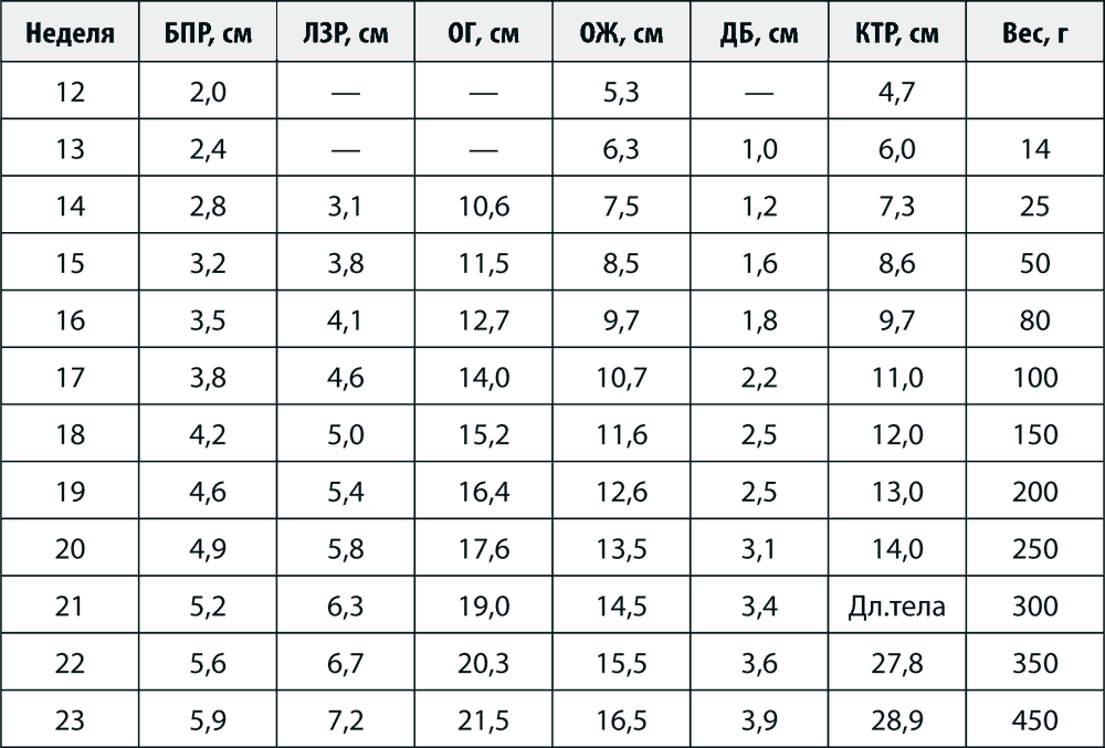 Окружность живота срок беременности. БПР по УЗИ нормы по неделям. БПР ЛЗР плода по неделям. БПР головки плода по неделям таблица. ЛЗР плода норма по неделям.