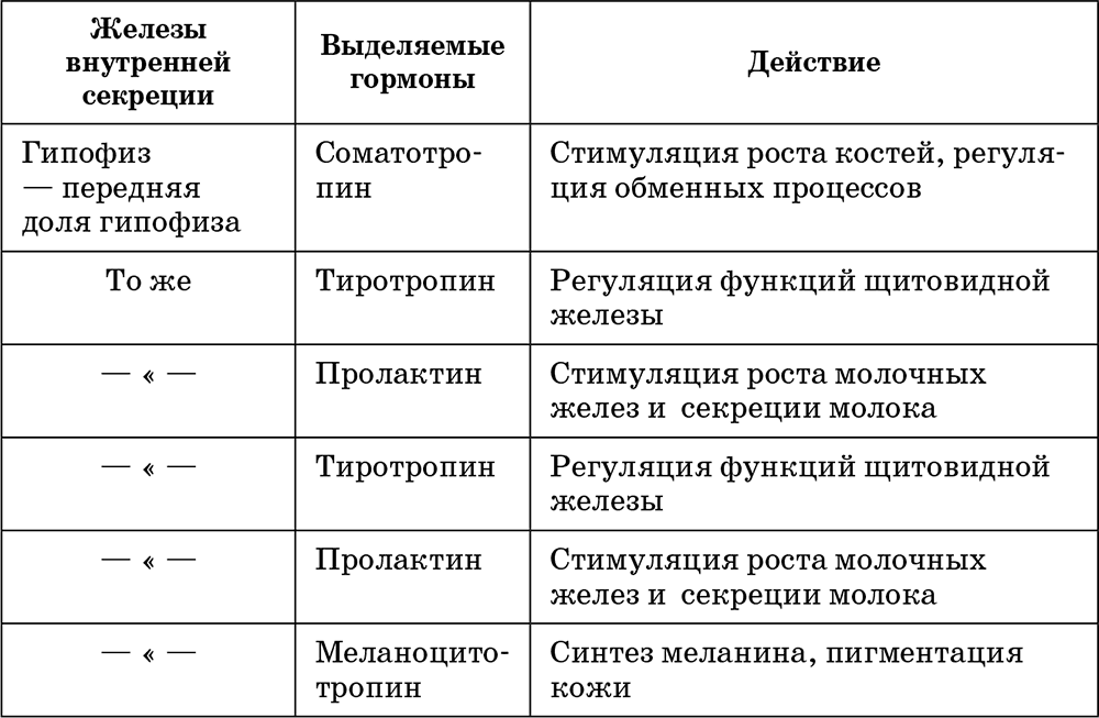 Какой гормон вырабатывают железы внутренней секреции обозначенные на рисунке цифрой 1