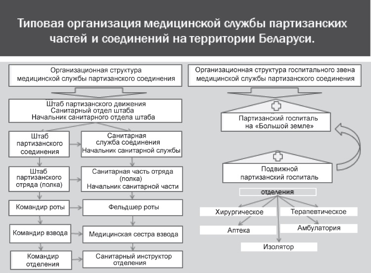 Медицинская служба полка структура