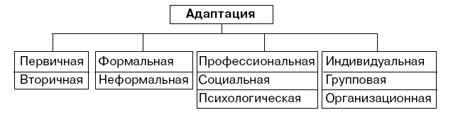 Контрольная работа по теме Адаптация новых работников в организации