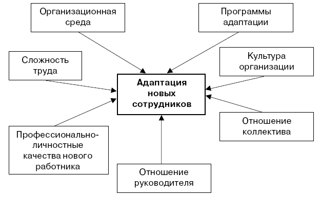 Контрольная работа по теме Адаптация новых работников в организации