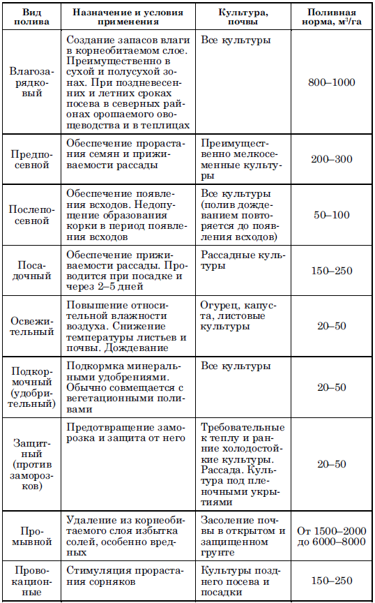 Периодичность полива овощных культур