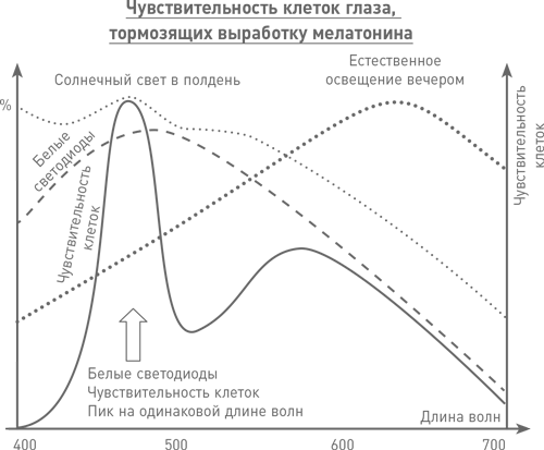 График выработки мелатонина. Выработка мелатонина по часам. Мелатонин пик выработки. Выработка мелатонина часы.