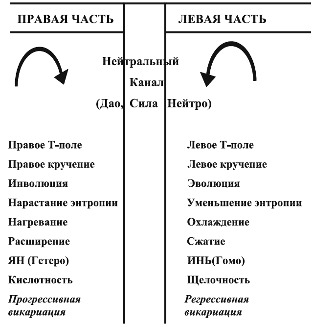 Таблица миллера. Таблица Виджейкара острых состояний. Виджейкар гомеопатия схема. Теория острых болезней Виджейкар таблица. Виджейкар теория острых болезней.