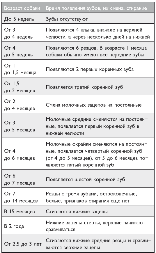 Как узнать возраст щенка по зубам фото Старый друг . Ветеринар советует. Продлите жизнь своей собаке