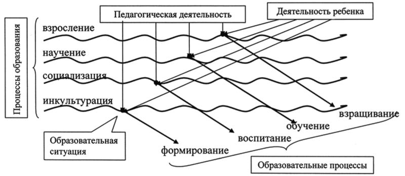 Процесс образования человека. Волновыее процессы.