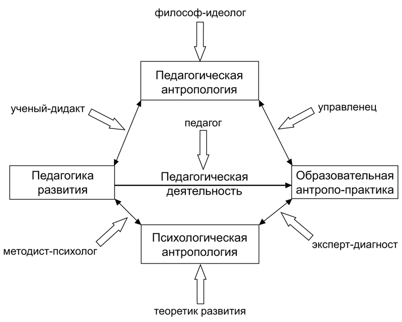 Психологические образования человека. Антропология в системе наук схема развития. Развитие в педагогике схема. Развитие это в педагогической антропологии. Развитие человека это в педагогике.