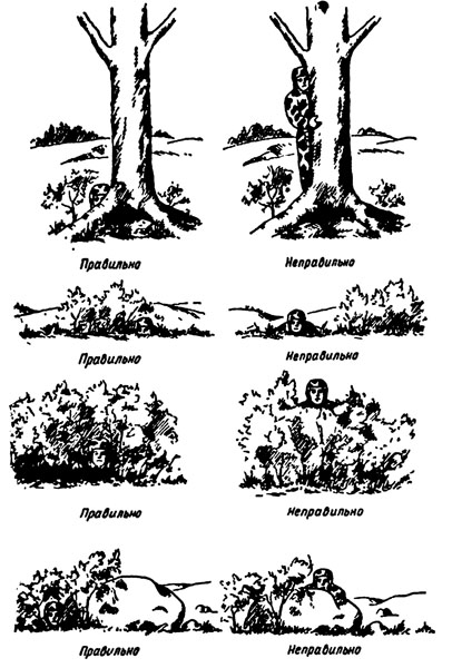 Маскировочная маска, раскраска «Тростник»