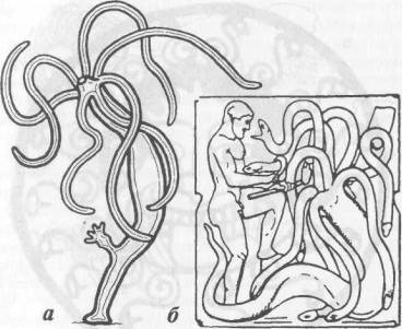 Битва геракла с гидрой рисунок карандашом