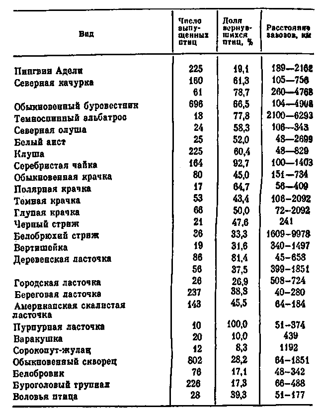 Чему равна скорость полета комгусей. Скорость птиц таблица. высота полета птиц таблица. скорость полета птиц. максимальная высота полета птиц.