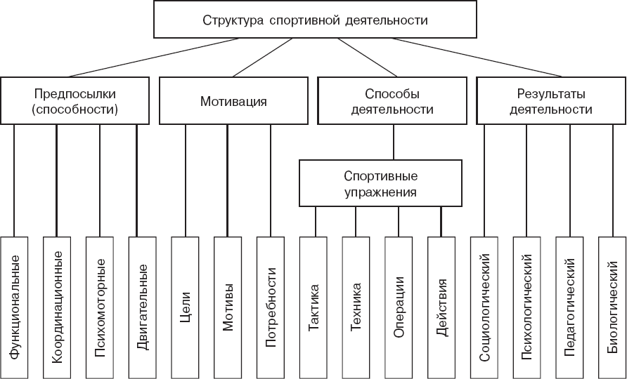 Типы спорта схема