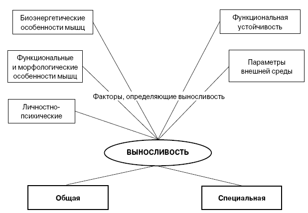 Дополните схему о необходимости скоростных качеств