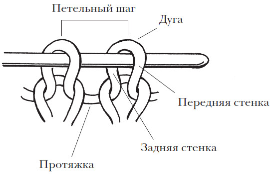 Задняя стенка петли