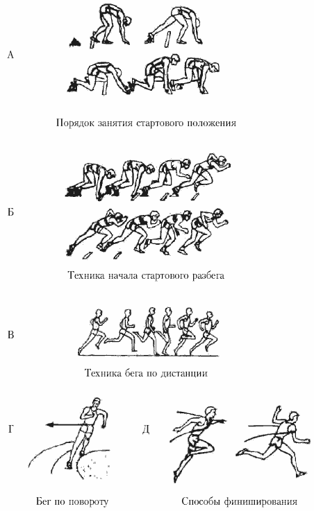 Бег на короткие дистанции схема