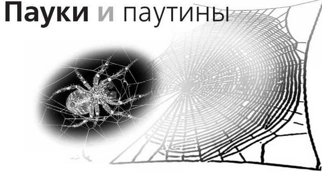 Пауки и паутины . Знание-сила, 2007 № 08 (962)