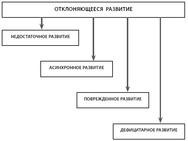 Типологическая схема текста