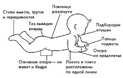 Опора на прямые руки как выглядит