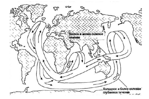 Глубинные течения. Карта течений мирового океана. Тёплые течения мирового океана.