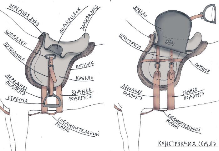 Схема седла лошади