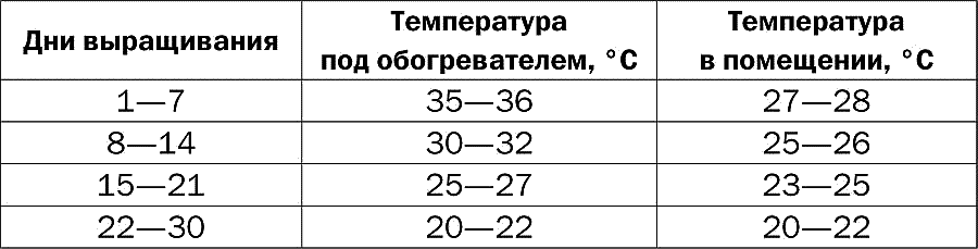 Температура содержания. Температура в брудере для перепелов таблица. Световой и температурный режим для перепелов таблица. Температурный режим в брудере для перепелят. Температура для перепелов таблица до 1 месяца.