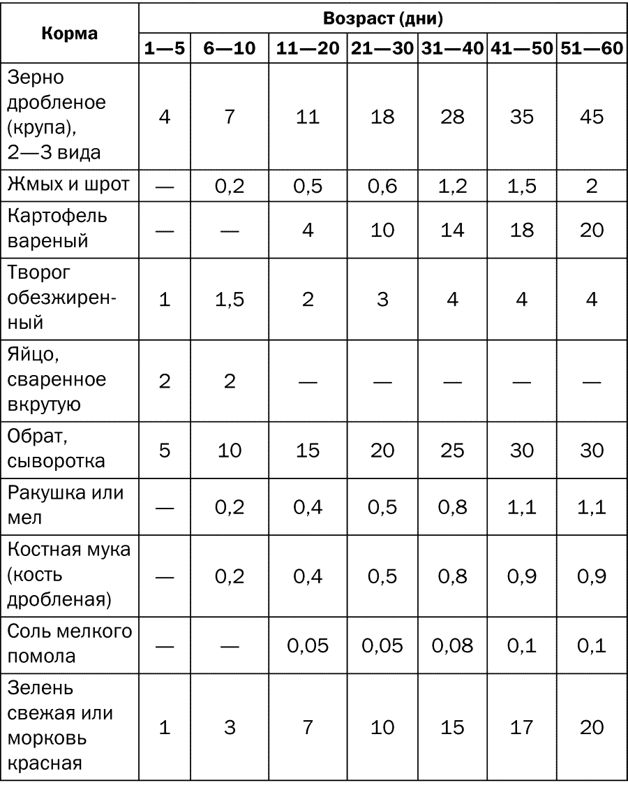 С какого возраста цыплятам дают зерно. Рацион кормления цыплят бройлеров. Таблица кормления цыплят. Таблица кормления цыплят по дням. Рацион для бройлеров домашних условиях таблица.