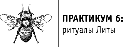 Практикум 6