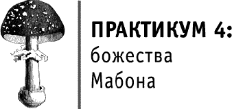 Практикум 4. МАБОН круг года Арабо Саргсян.