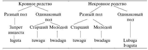 Кровное родство. Кровные и некровные родственники. Кровное Непрямое родство. Кровное родство это определение.