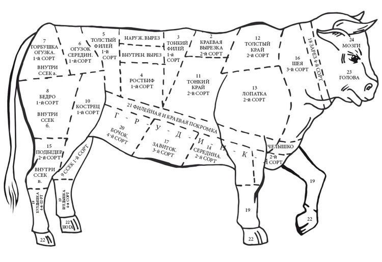 Туша быка разделка схема