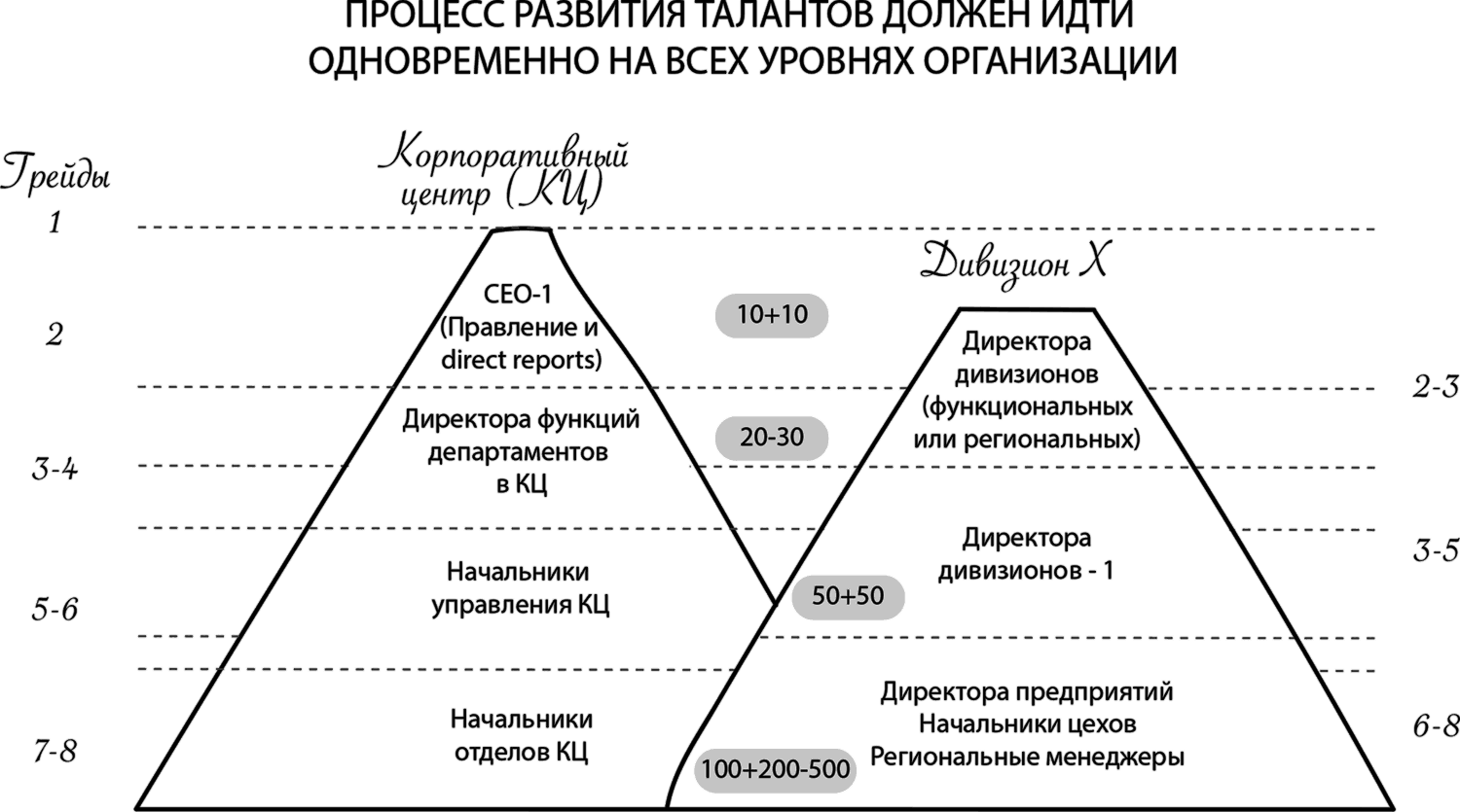 Высочайшая степень таланта. Уровни CEO В организации. Уровень должности CEO 1. Развитие талантов. Уровни менеджмента.