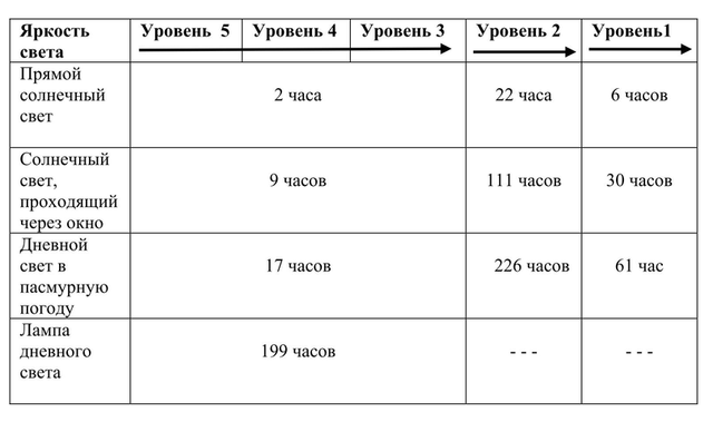 Уровни часов