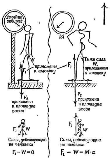 Сила движения 1