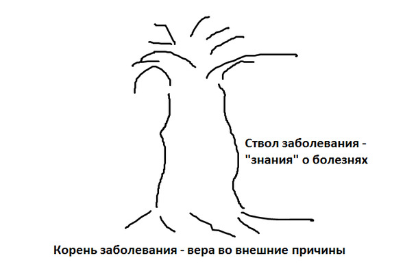 Всегда корень. Инструкция к телу. Корень слова ствол. Психосоматика корень ствол. Энергетические матрицы корень ствол.