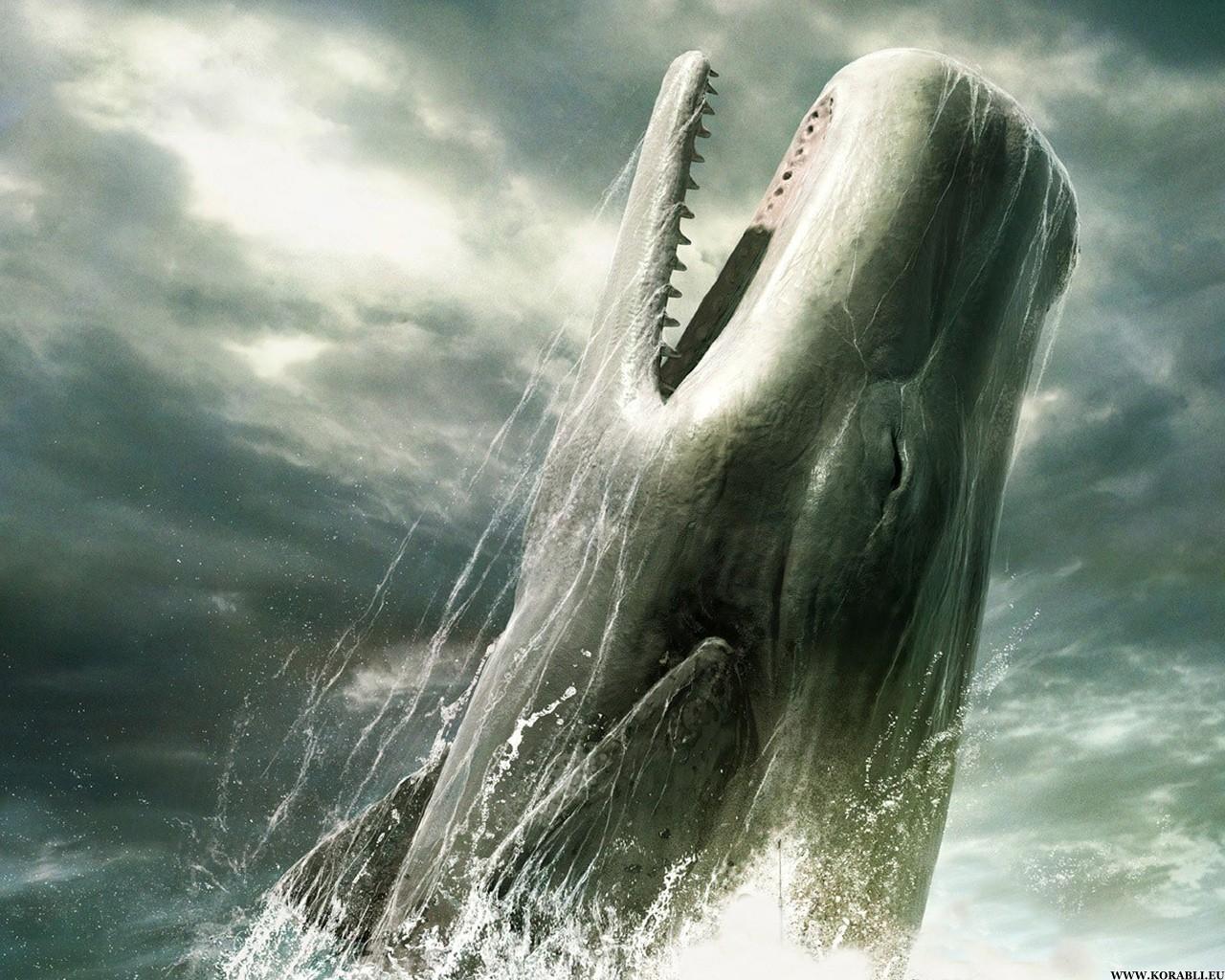 Белый кит убийца кораблей