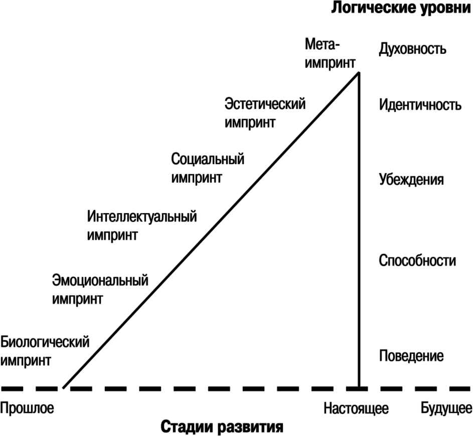 Уровни логики. Логические уровни НЛП. Неврологические уровни. Импринт это в психологии. Уровни развития НЛП.