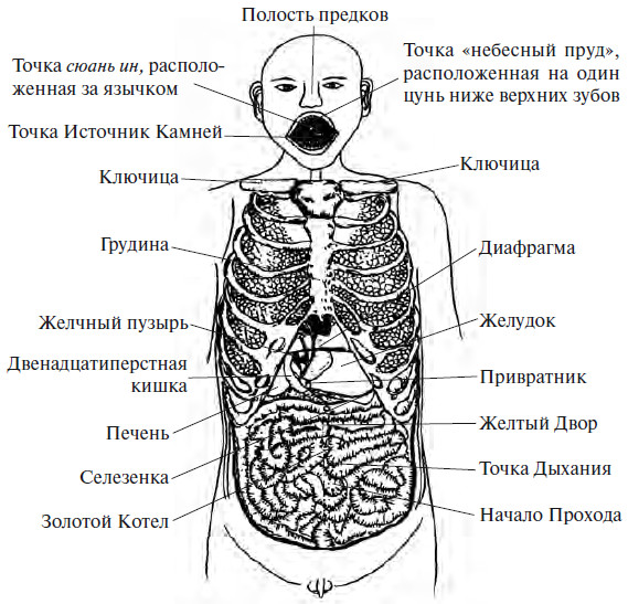 Точки источники. Точка божественного спокойствия. Полость предков точка Сюань ин, расположенная за язычком. Точки «божественное хладнокровие. «Полость предков» (Цзу Цяо).