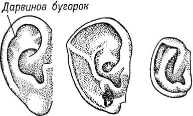 I. Личные черты . Политика у шимпанзе Власть и секс у приматов