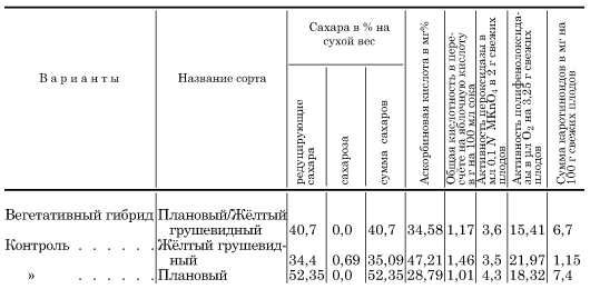 Вегетативный гибрид