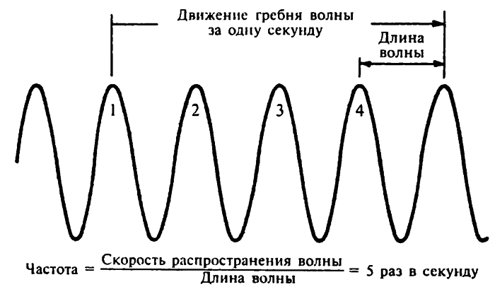 Движение волн. Частота колебаний физика волны. Волны вибрации. Частота вибрации волны. Длина вибрационной волны.
