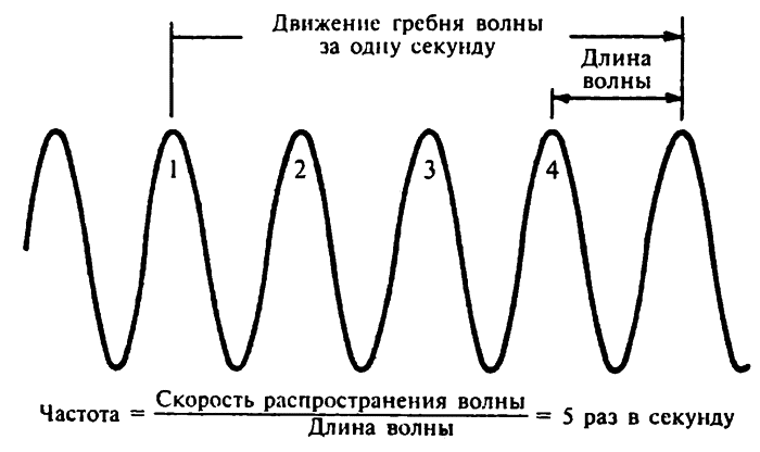 Движение волны. Частота колебаний физика волны. Волны вибрации. Частота вибрации волны. Длина вибрационной волны.