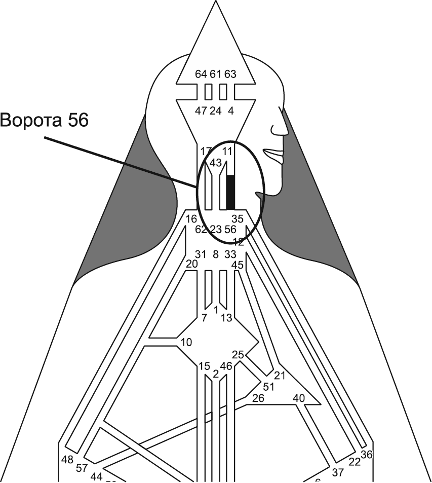 56 ворота дизайн