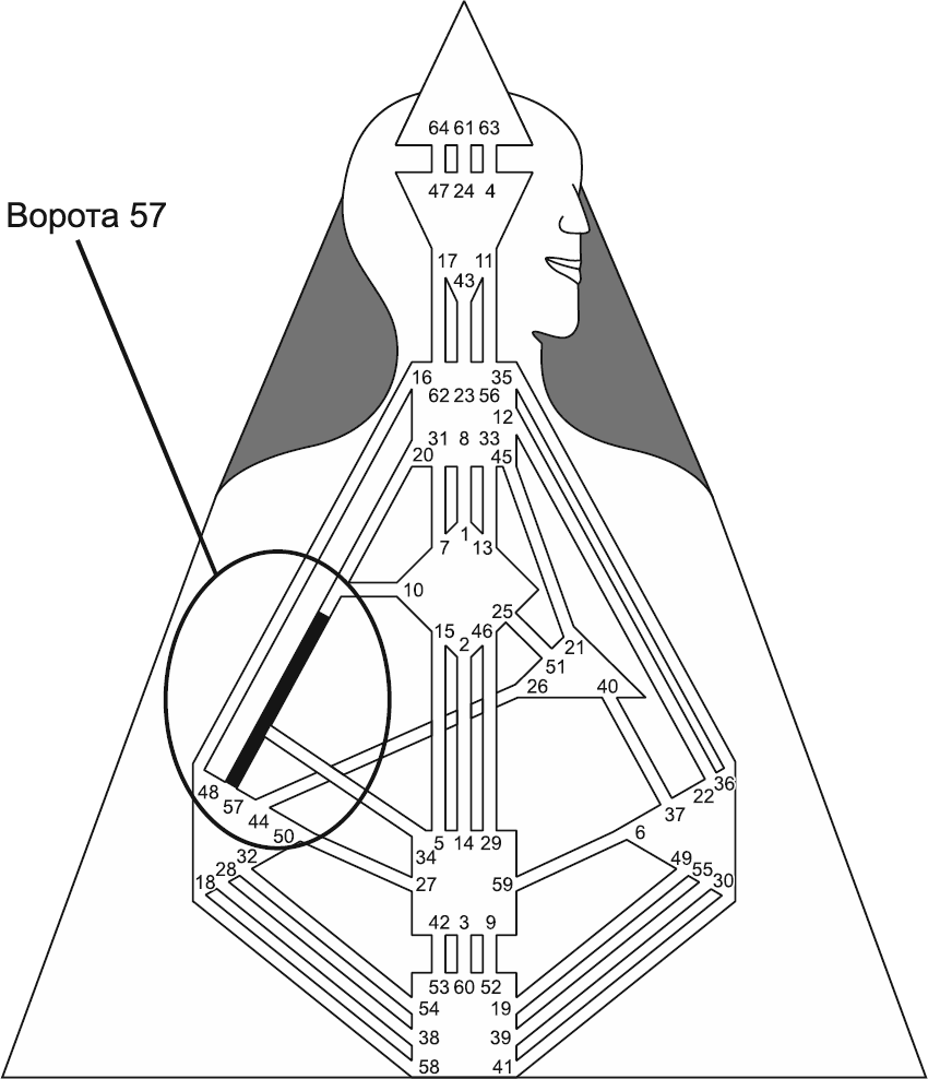       HUMAN DESIGN